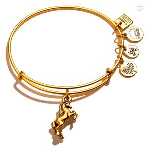 Alex and Ani Unicorn Charm Bracelet